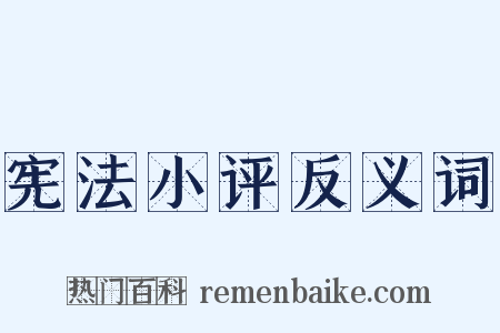 宪法小评反义词是什么意思的图片